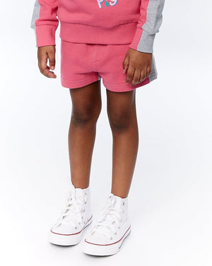 Fabric Flavours Pink, Grey Jogger Shorts