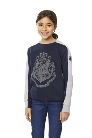 Harry Potter Reflective Hogwarts Logo Sweatshirt